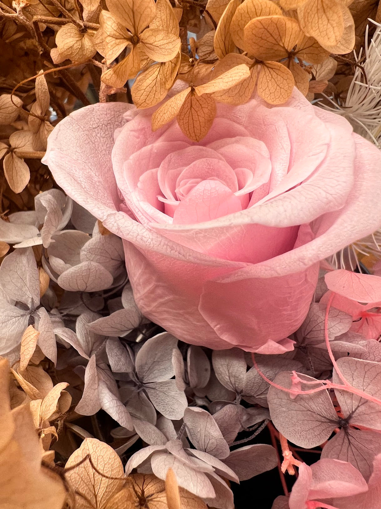 Close-up of a baby pink flower surrounded by dried hydrangea and other flowers.