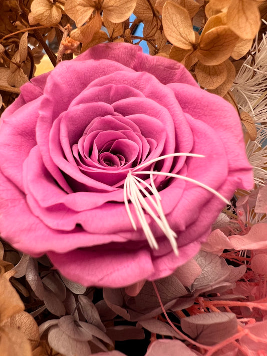 Close-up of a preserved Magenta rose surrounded by hydrangea dried flowers