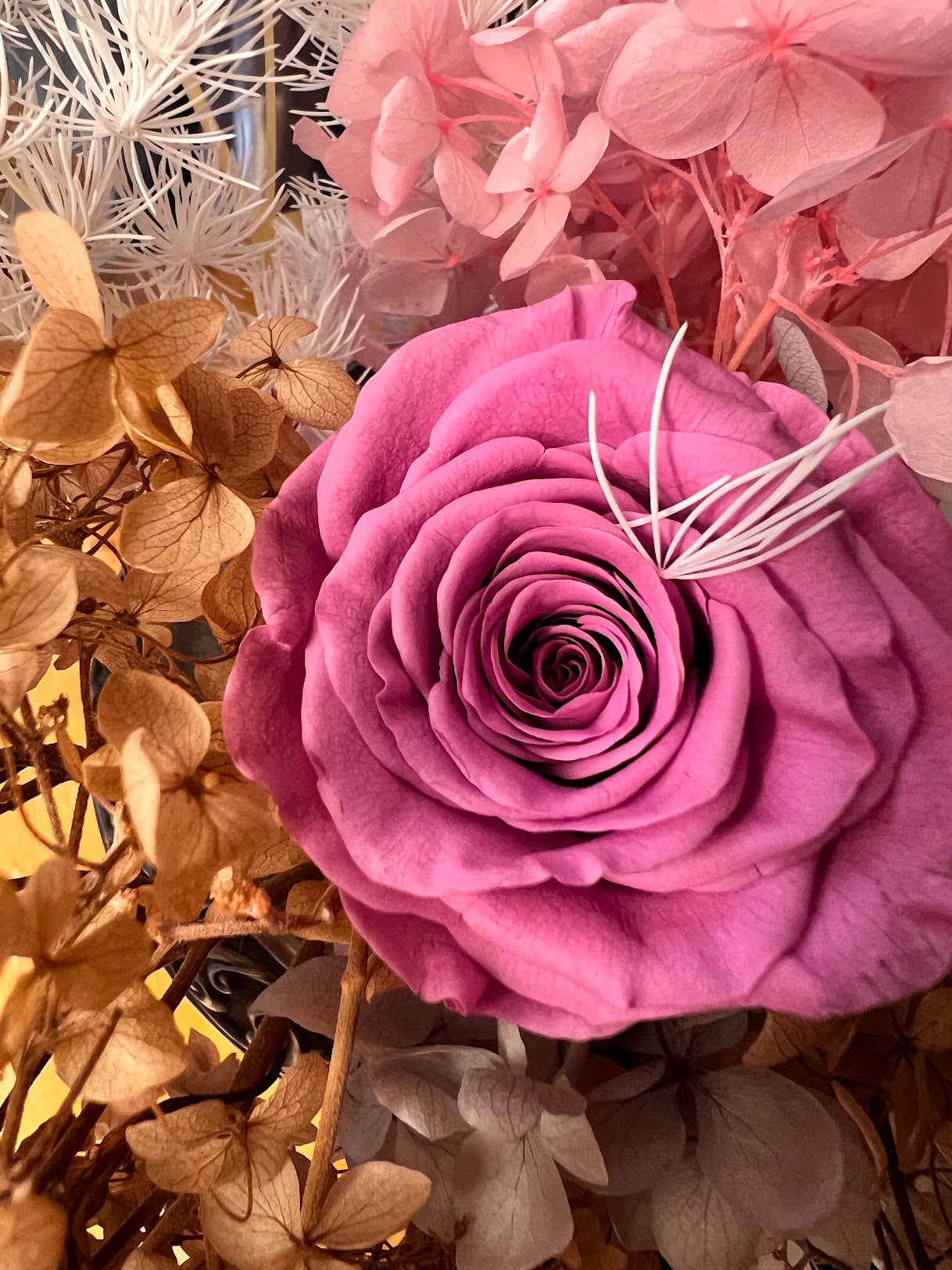 Close-up of a Magenta rose surrounded by dried flowers and leaves