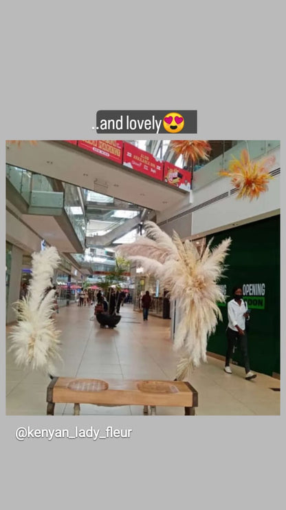 Beige and white pampas grass from kenyan lady fleur flower shop setup at the village market, nairobi.